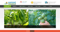 Desktop Screenshot of cevizfidani1.com